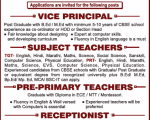 DY Patel School job