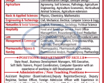 Faculty Job at VGU