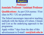 Assistant Professor Jobs in KSSA