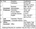 Faculty job Einsten College