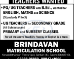 Taching Jobs Brindhavan