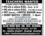 Teaching Jobs Blue Birds