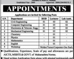 Polytechnic College Job