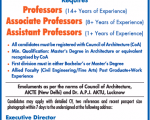 Apeejay College Job