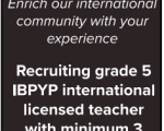 International Village School Job