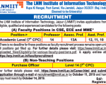 LNM College Job