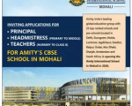 Amity School