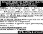 Gurajada College job