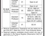 Architecture College job