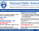 NPS Teachers Job