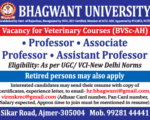 20 Bhagwant University Jobs