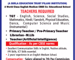 School job Birla