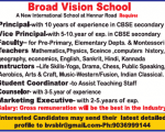 School job Broad Vision