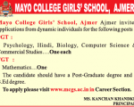 School job Mayo