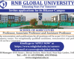 RNB Global University