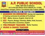 AP Public School